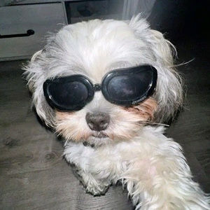 Meet your Posher, Gennesis